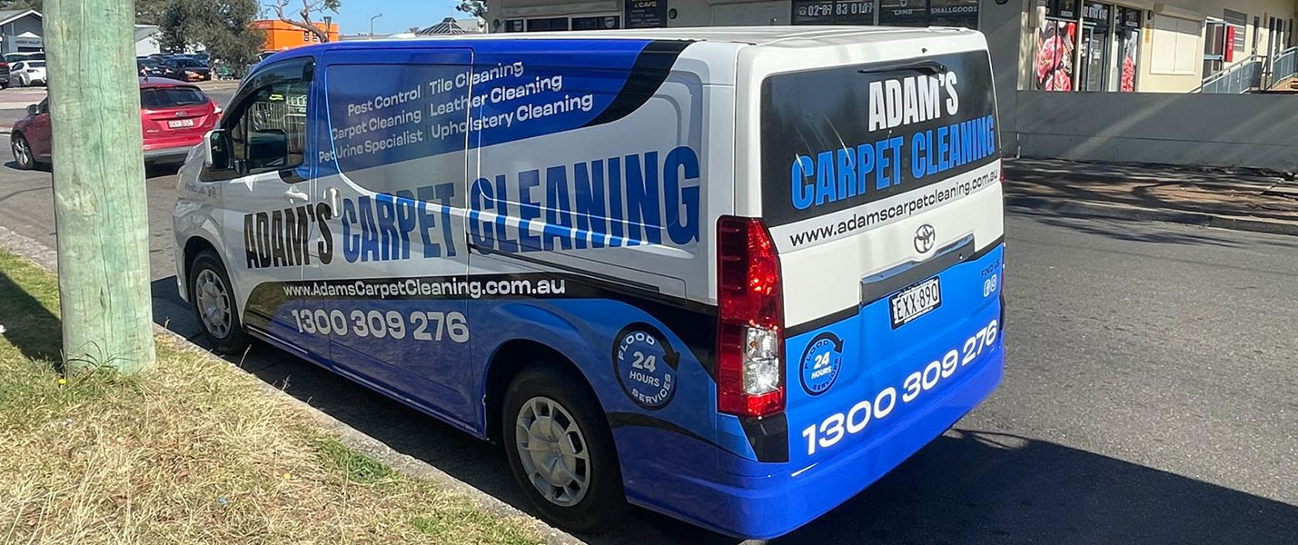 Adams Carpet Cleaning website